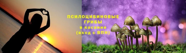 твердый Балахна